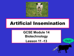 Artificial insemination e- learning acvtivty - Teachnet UK-home