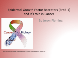 Epidermal Growth Factor Receptors (ErbB