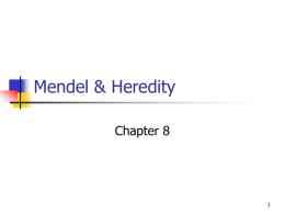 Mendel & Heredity