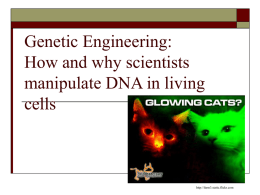 Genetic Engineering: How and why scientists