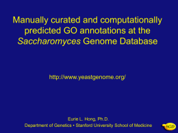 Hong - Gene Ontology Consortium