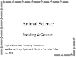 Animal_Genetics_Casey_Osksa