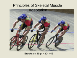 Principles of Skeletal Muscle Adaptation