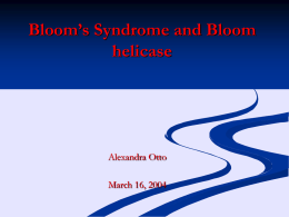 Bloom Helicase