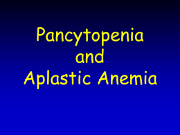 pancytopenia and aplastic anemia ok243 KB