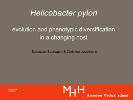 Helicobacter pylori evolution and phenotypic diversification in a