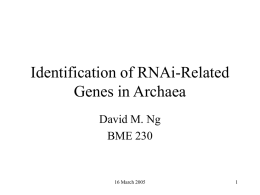 Identification of RNAi-Related Genes in Archaea