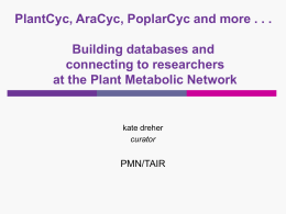 Powerpoint - Plant metabolic pathway database (PMN / PlantCyc)