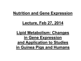 1) Lecture notes: effects of bile salts on cholesterol metabolism