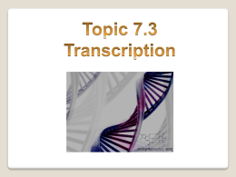 7.3 Transcription (AHL)