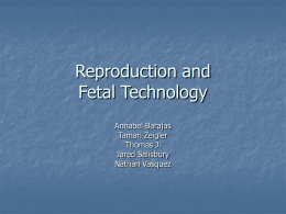 Reproduction and Fetal Technology