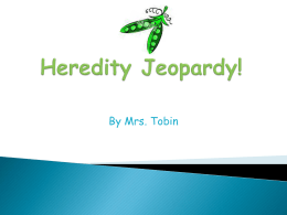 Heredity Jeopardy!