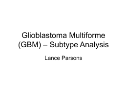 Glioblastoma Multiforme (GBM) – Subtype Analysis