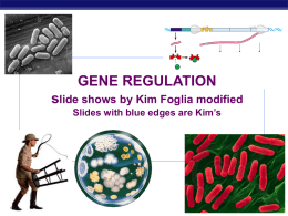 Gene regulation - Local.brookings.k12.sd.us