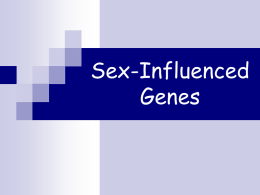 Sex-Influenced Genes - NCEA Level 2 Biology