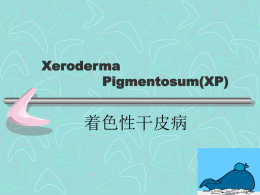 Xeroderma Pigmentosum(XP)