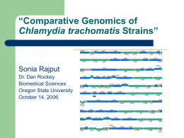 “Comparative Genomics of Chlamydia trachomatis Strains”