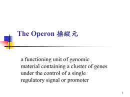 The Operon 操縱元