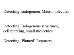 Detecting Endogenous Macromolecules