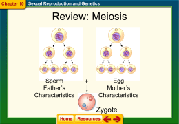 Sexual Reproduction and Genetics