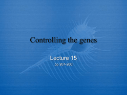 Lecture 15 POWERPOINT here