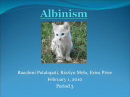 Albinism Powerpoint