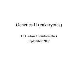 GeneticsLecture3