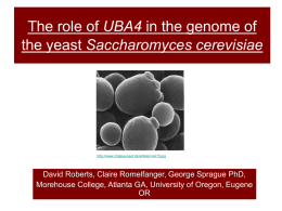 UBA4 - SPUR - University of Oregon