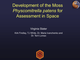 Development of the Moss Physcomitrella patens
