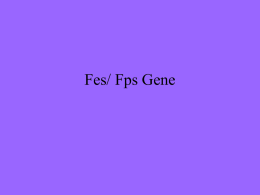 Fes/ Fps Gene