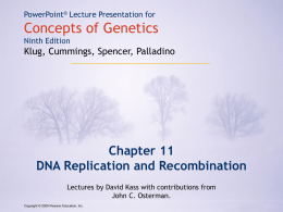DNA Replication and Recombination - HMartin