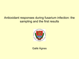 Gallé Ágnes - Antioxidant responses during fusarium infection