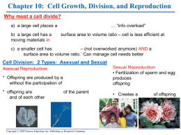 honors cell reproduction chp 10 teaching