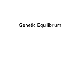 Genetic Equilibrium - APBiology2010-2011