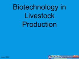 Biotechnology in Livestock Production