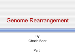 Genome rearrangement (Part I)