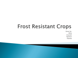 Frost Resistant Crops