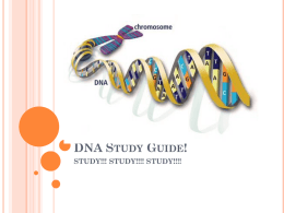 DNA Study Guide!