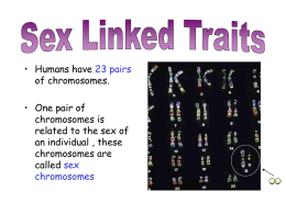 Sex Linked Traits