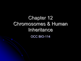 Inheritance Patterns_Ch.12_2012 - OCC