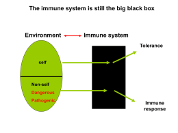 T CELL DEFICIENCY