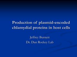 Production of  plasmid-encoded chlamydial proteins in host cells Jeffrey Burnett