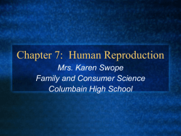 Chapter 5: Human Reproduction