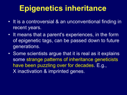 Epigenetics inheritance