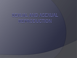 Sexual and asexual reproduction
