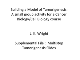 The Biology of Cancer
