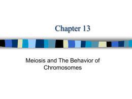 Chapter 13 Presentation-Meiosis and Chromosomes