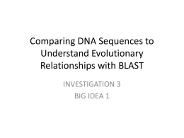 Comparing DNA Sequences to Understand Evolutionary