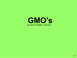 What are Genetically Modified Organisms?