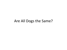 Are All Dogs the Same? - Illinois State University Websites